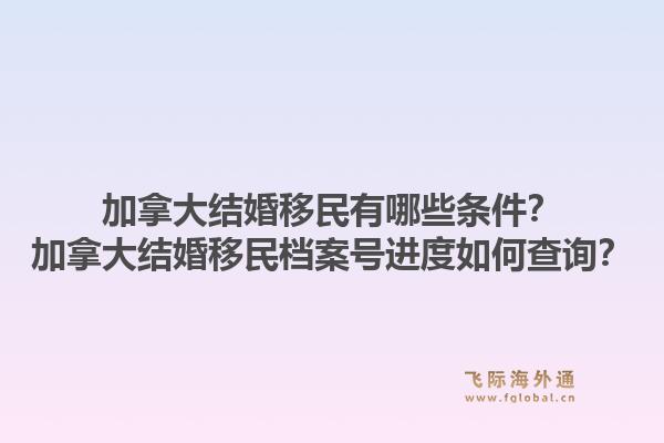 加拿大结婚移民有哪些条件?加拿大结婚移民档案号进度如何查询?1.jpg