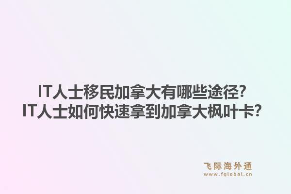 it人士移民加拿大有哪些途径？it人士如何快速拿到加拿大枫叶卡？1.jpg