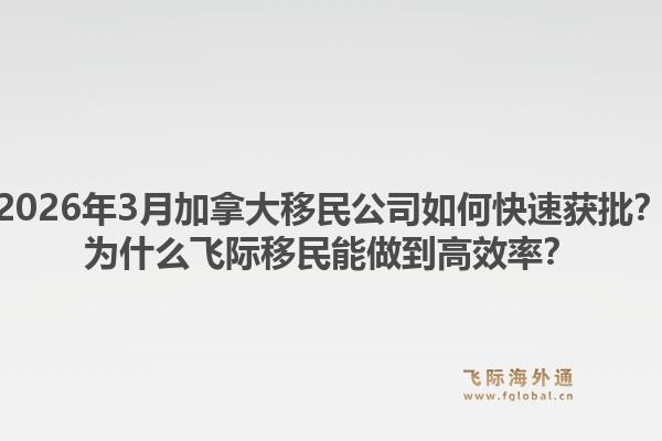 2026年3月加拿大移民公司如何快速获批？为什么飞际移民能做到高效率？1.jpg