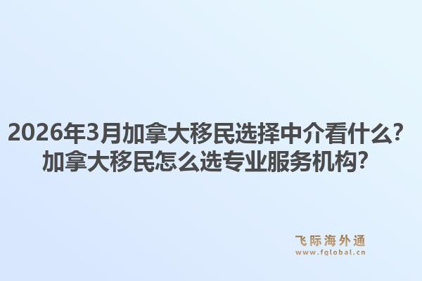 2026年3月加拿大移民选择中介看什么？加拿大移民怎么选专业服务机构？1.jpg