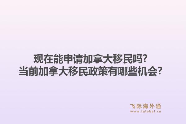 现在能申请加拿大移民吗？当前加拿大移民政策有哪些机会？1.jpg